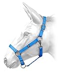 Supersuave. Whitaker - Cabezada para caballo con correas suaves y ajustables para un agarre cómodo (COB, turquesa)
