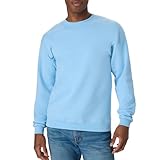 Hanes Men's EcoSmart Sweatshirt, Light Blue, Large