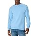 Hanes Men's Ecosmart Fleece Sweatshirt, Light Blue, Large