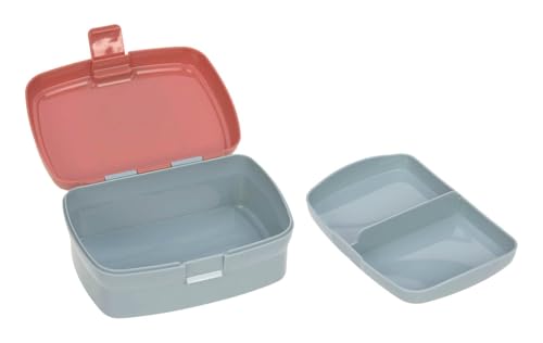 LÄSSIG Brotdose & Trinkflasche Set - Lunch Set mit Lunchbox und Trinkflasche (460 ml)/About Friends Fox