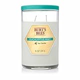 Blyth Home Scents International 111214 Burt'S Bees® Eucalyptus Mint Tall Jar Candle