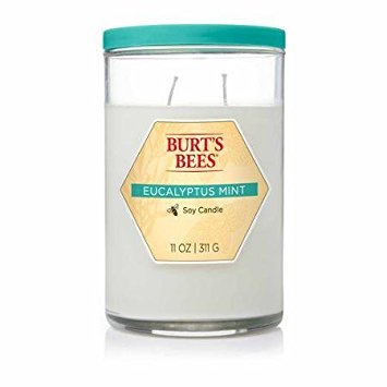 Blyth Home Scents International 111214 Burt'S Bees® Eucalyptus Mint Tall Jar Candle