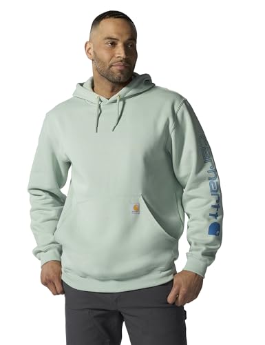 Carhartt Men's Midweight Signature Sleeve Logo Hooded Sweatshirt, Seabrook, M