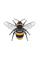 Manchester Bee : Notebook and Journal - Manchester Bee Journal, Worker Bee Symbol Made in MCR Note Book or Composition Book, School, College or Office Gag Gift 1072128306 Book Cover