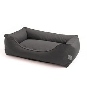 DAILY PET Brandina per Cani Taglia Media, Impermeabile e Lavabile - Cuscino, Divanetto, Lettino, Materassino - M 75x55x20 cm - Nero
