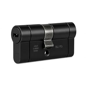 Abus Türzylinder D66PS schwarz mit Not- und Gefahrenfunktion und Pre-Snap-Eigenschaft, 30 x 40 mm, 5 Schlüssel