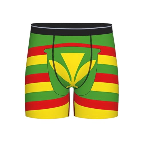 Native Hawaiian Flag Men's boxer briefs, high-elastic, breathable fabric, multiple sizes (S-2XL)