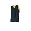 Navy/Gold