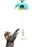 Générique Jouet pour Chat sur La Porte | Jeu Interactif 3 Vitesses, pour Chat...
