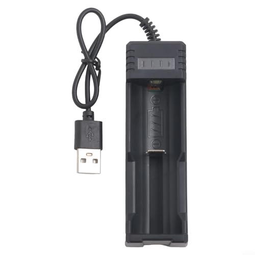 Elegante cargador de batería USB con características inteligentes para una carga segura de múltiples tipos de litio (ranura única)