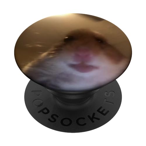 Hamster mirando a cámara Meme PopSockets PopGrip Intercambiable
