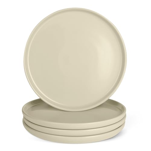 Amazon Basics Glazed Stoneware Dinner Plates, Ceramic 4-Piece Set, Microwave and Dishwasher-Safe, 10.5 in., Ivory by Amazon Basics - Used condition - US$20.47