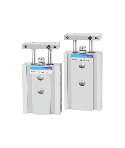 Vérin pneumatique double tige TR20 CXSM20 haute précision