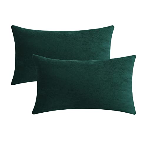 Jeneoo Decorative Hunter Green Throw Pillow Covers Soft Rectange Chenille Comfy Cushion Couch Cases for Home Sofa Decor (Set of 2, 12 x 20 Inches)