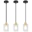 3-Pack Black Gold