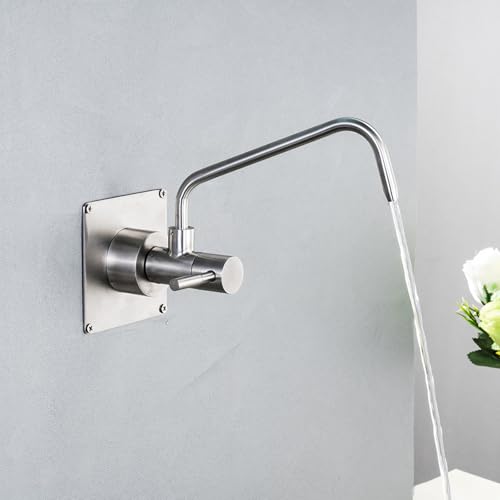 Wall Mount Ro Water Faucet for Kitchen Sink Single Handle Cold Water Only Kitchen Faucet 360° Rotation,Brushed