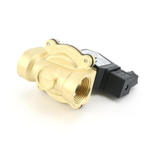 Électrovanne en laiton DN20 AC220V avec joint Viton normalement ouverte