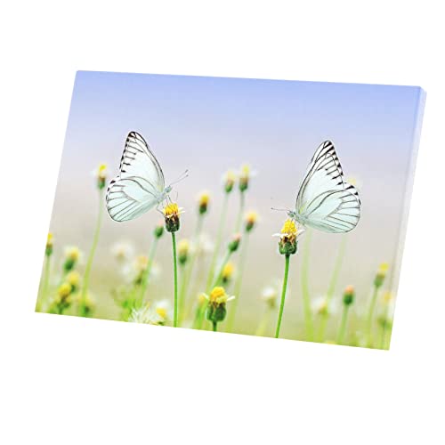 Tableau papillons sur fleurs toile imprimée symbole d'amour et nature