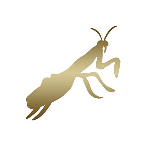 Amazon.com: Praying Mantis Insect - Vinyl Decal Sticker