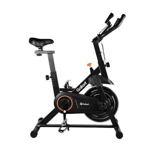 Bicicleta Ergométrica Spinning Gallant Trainer Roda de 6kg (gsb06...