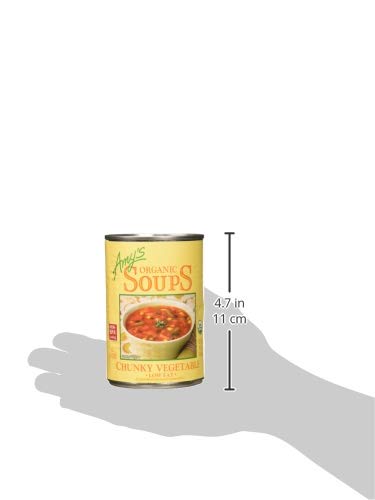 Amy's, Organic Chunky Vegetable Soup, 14.3 Ounce