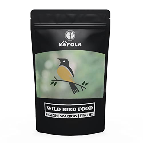 Image of Wild Bird Food Mix Seeds - Nourishing Sparrows, Finches, Pigeons & Wild Birds (1 Kg) For All Life Stages