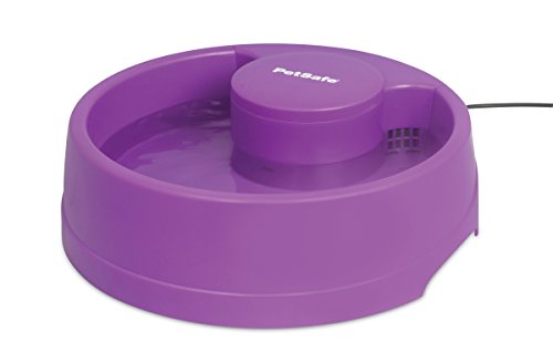 PetSafe Current Pet Water Fountain - Circulating Drinking Fountain for Cats and Dogs - Medium, Orchid, 80 oz Capacity Water Dispenser - Carbon Filter Included - Easy to Clean Design