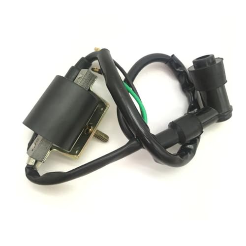 Bobine d'allumage avec câble haute tension pour 125cc