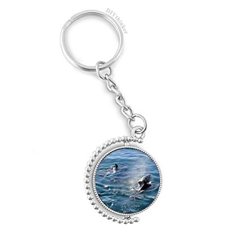 Clé anneau porte-keyholder océan épaulard rotatif, accessoire multicolore pour sac à dos