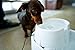 Dog Mate Large Fresh Water Drinking Fountain For Dogs And Cats