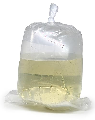 Aquatic Arts Live Daphnia Magna 100PK Fish Food Freshwater Crustaceans Plankton for Freshwater Aquarium Food for Betta Fish Tank Live Freshwater Fish Food Fish Tank Cleaner