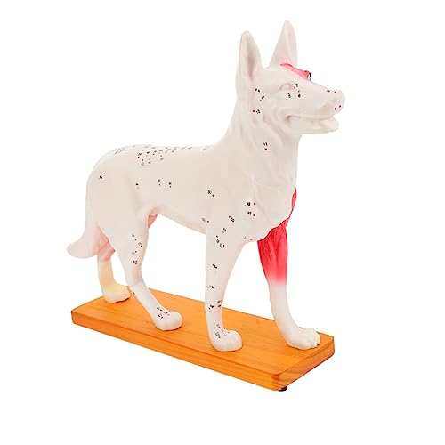Is meloxicam good for dogs