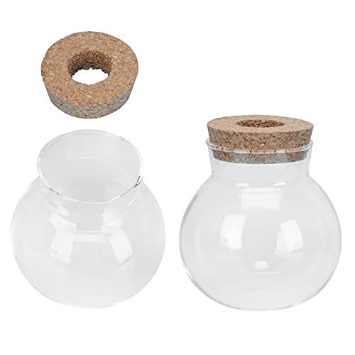 2 Stück Ersatz-Glasvasen (Birnenform) – 10,2x7 Cm, Für Hydrokultur & Deko, Ohne Ständer
