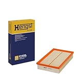 Hengst