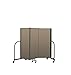 Screenflex CFSL503-DW Commercial Portable Room Divider, 3 Panels