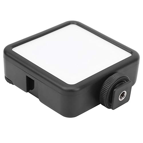 VL81 3200K5600KplCg |[^u2FxtBCg Type-c[dP[ut JrfICg Px \ OBevlogL^p