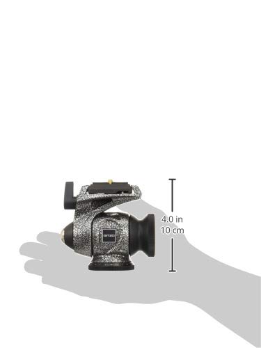Amazon | GITZO バードウォッチング仕様 2ウェイフルード雲台 GH1720QR 