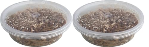 Livefood UK Live Mealworms Regular size Letterbox pack (2 x 30g) will fit through standard letterbox