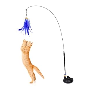 REHTRAD Cat Teaser Rod Toy Interactive Cat Toy with Suction Cup 80cm(Purple)