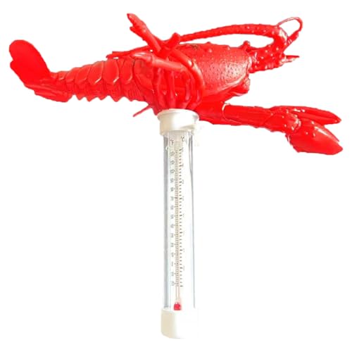 Thermomètre pour piscine extérieure flottant et lisible pour étang