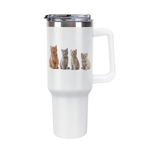  lR GL ^u[ Wt ԗpRbv @r  s{g t Xg[t 1.18L L e ^fM d\ ۉۗ XeX r[/R[q[ jp ^