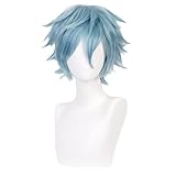 Anime Cosplay Costume Wig, My Hero Academia Wig,Shigaraki Tomura Wig,Short Gray Blue Mixed Curly Wig with Free Wig Cap, for Halloween, Party, Carnival, Nightlife, Concerts, Weddings