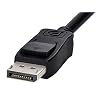 Monoprice 8K DisplayPort 2.0 Cable - 80.0Gbps, 16K Resolution, Supports NVIDIA GSync AMD FreeSync, 10 Feet, Black