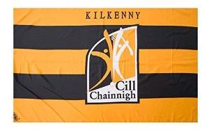 Amazon.com : OFFICIAL IRELAND GAA crest COUNTY FLAG KILKENNY 152cm ...