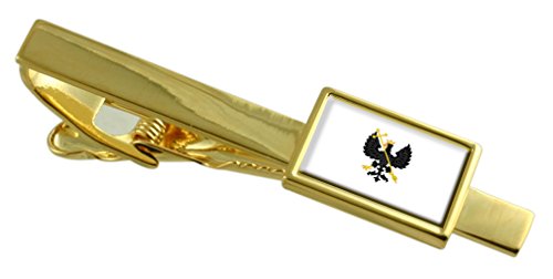 Pisacorbatas de oro con bandera de Chernígov Ucrania para hombre