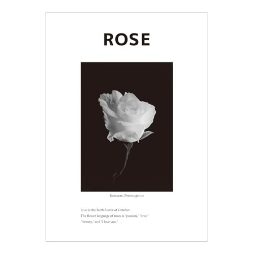 �ǎ����{�� �A�[�g �|�X�^�[ �E�H�[���X�e�b�J�[ �\���Ă͂����� A2�T�C�Y �� ���[�Y �o�� ���m�N�� �� �� TRN-BMF10 Room No.0�y�󒍐��Y�i�E�L�����Z���s�z