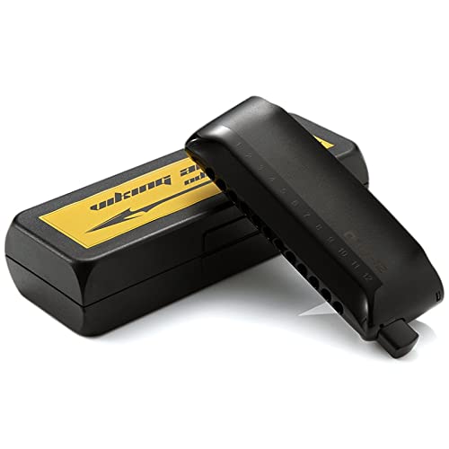 Harmonica Harmonica coloré Odin 12 trous harpe ABS peigne couvercle bouche orgue cuivres instruments professionnels - Les Beatles, Paul McCartney, John Lennon, RIngo Starr, George Harrison Harmonica Harmonica coloré Odin 12 trous harpe ABS peigne couvercle bouche orgue cuivres instruments professionnels – Image 5