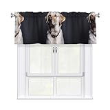 Photo Gallery aekgohp tende corte con mantovana, 137,2 x 45,7 cm, motivo cane labrador, per cucina, bagno, lavanderia, studio, si adattano alla maggior parte delle aste per tende standard o decorative Photo Gallery aekgohp tende corte con mantovana, 137,2 x 45,7 cm, motivo cane labrador, per cucina, bagno, lavanderia, studio, si adattano alla maggior parte delle aste per tende standard o decorative