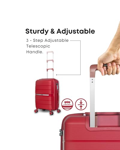 Image of CRUISE Coral Pine 20 Inch Travel Trolley Bag Set (Small) | Hard Shell Expandable Suitcases with Spinner Wheels | Cabin & Check-in Lightweight Luggage Bags (Set of 1)