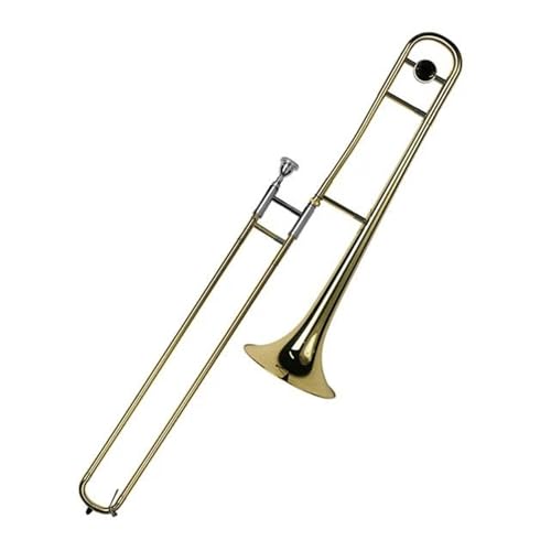 Che tu sia un appassionato di musica o un giocatore che affina ancora le tue abilità, questo trombone è la scelta migliore per la pratica e le prestazioni.